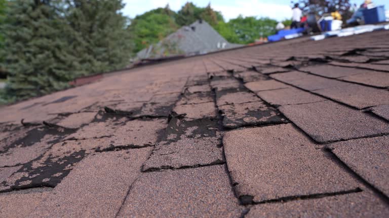 Best Emergency Roof Repair Services  in Apollo, PA